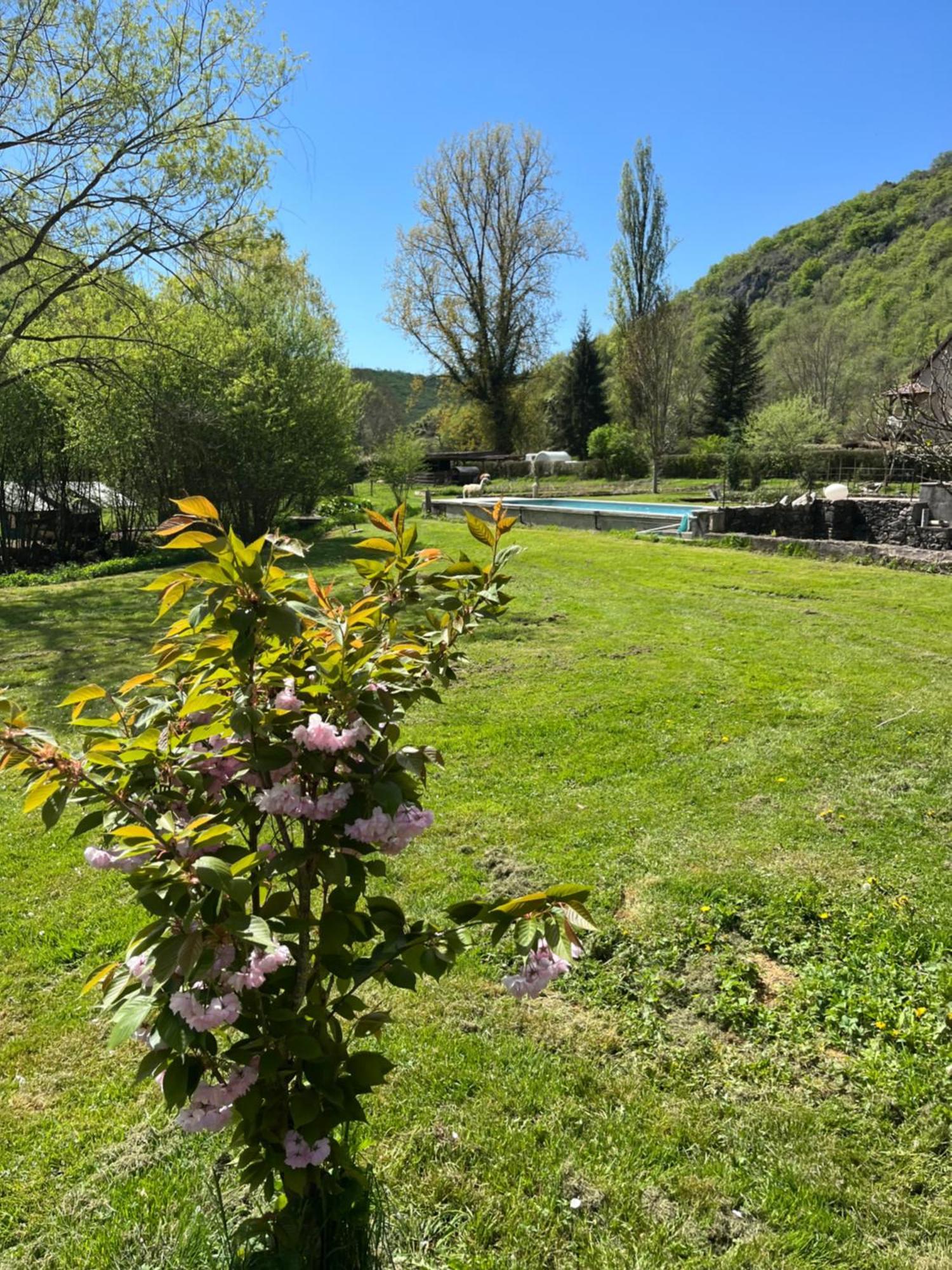 Les Pieds Dans L'Eau, Gite Le Blagour Lachapelle-Auzac Exterior foto